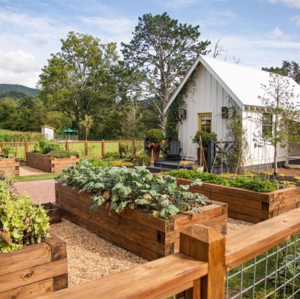 garden with planters